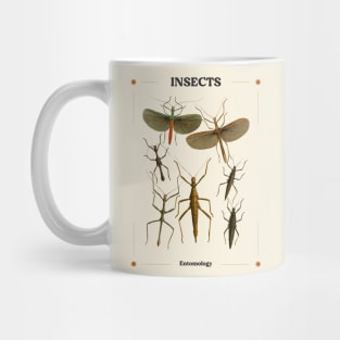 Insects I Mug